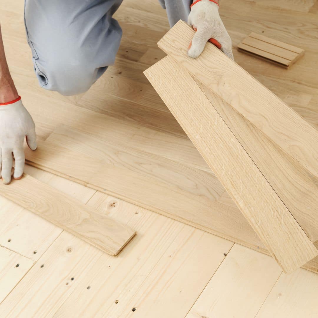 תמונת אווירה